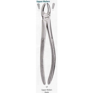 MEDESY Extraction Forceps #17