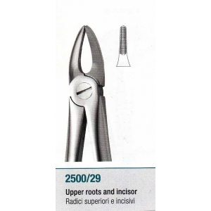 MEDESY Extraction Forceps #29