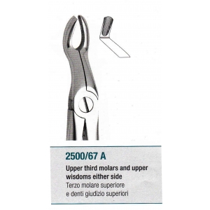 MEDESY Extraction Forceps #67A