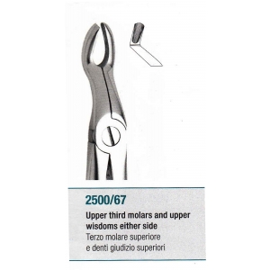 MEDESY Extraction Forceps #67
