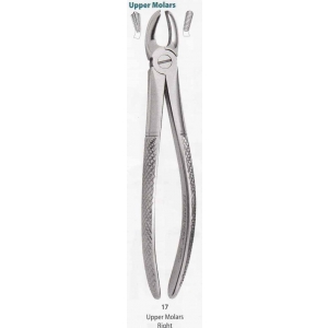 MEDESY Extraction Forceps #7