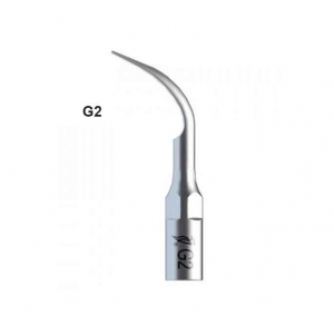 WOODPECKER Scaler Tip #G2 (EMS, Woodpecker Type)