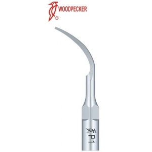 WOODPECKER Scaler Tip #P1 (EMS, Woodpecker Type)