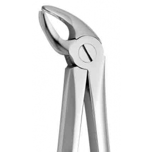 CORICAMA Tooth Forceps English Pattern #4