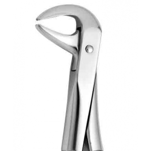 CORICAMA Tooth Forceps English Pattern #75