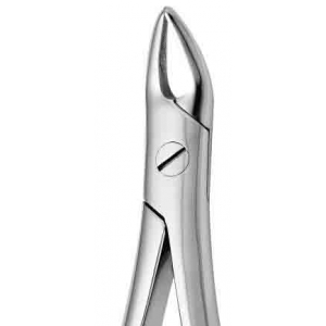 CORICAMA Tooth Forceps English Pattern #182 NLA, C625630 alternative product