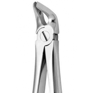 CORICAMA Tooth Forceps English Pattern #8 NLA, C625620 alternative product