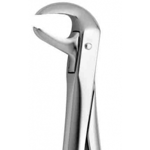 CORICAMA Tooth Forceps English Pattern #73
