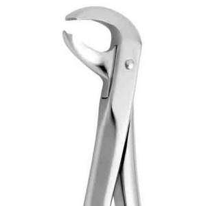 CORICAMA Tooth Forceps English Pattern #73-L