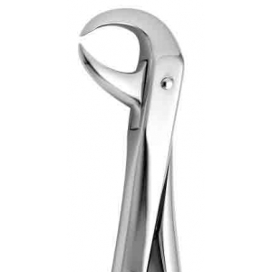CORICAMA Tooth Forceps English Pattern #86-C Cow Horn