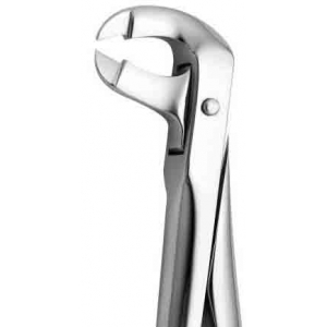 CORICAMA Tooth Forceps English Pattern #91 Cow Horn