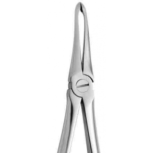 CORICAMA Tooth Forceps English Pattern #190