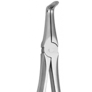 CORICAMA Tooth Forceps English Pattern #187