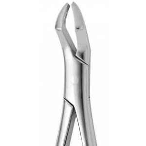 CORICAMA Tooth Forceps American pattern #53-R