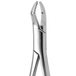 CORICAMA Tooth Forceps American Pattern #53-L