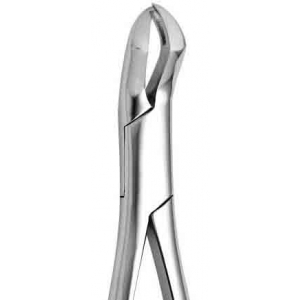 CORICAMA Tooth Forceps American Pattern #88-L Nevius