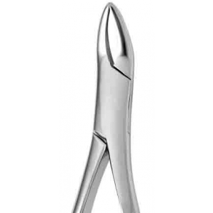 CORICAMA Tooth Forceps American Pattern #69 Tomes