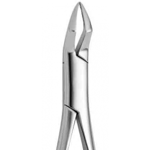 CORICAMA Tooth Forceps American Pattern #286