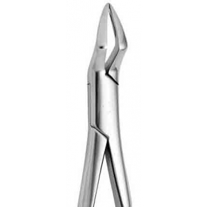 CORICAMA Tooth Forceps American Pattern #65