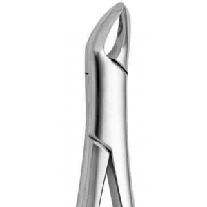 CORICAMA Tooth Forceps American Pattern #151 Cryer