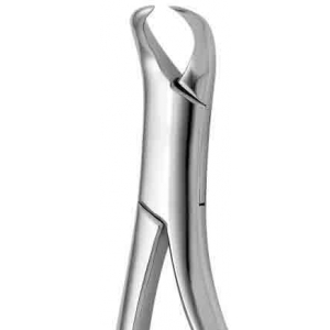 CORICAMA Tooth Forceps American Pattern #16 Harris