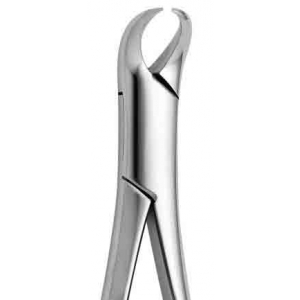 CORICAMA Tooth Forceps American Pattern #23