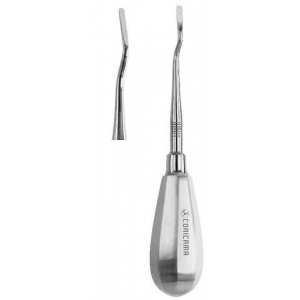 CORICAMA Root Elevator Bein Mesial 2mm