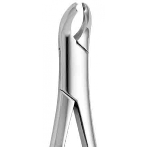 CORICAMA Tooth Forceps American Pattern Lowers 