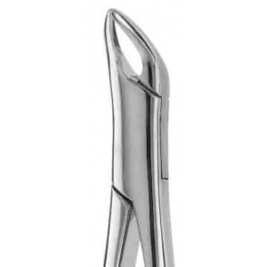 CORICAMA Tooth Forceps American Pattern 