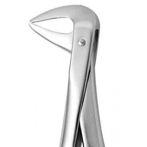 Coricama Tooth Forceps English Pattern Lower Roots