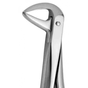 Coricama Tooth Forceps English Pattern Lowers