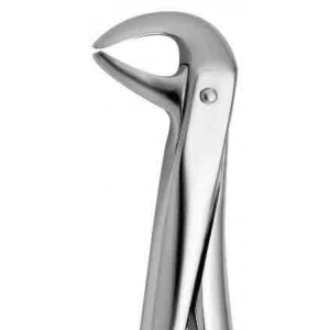 Coricama Tooth Forceps English Pattern Pediatric Lower