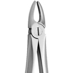 Coricama Tooth Forceps English Pattern Pediatric Uppers