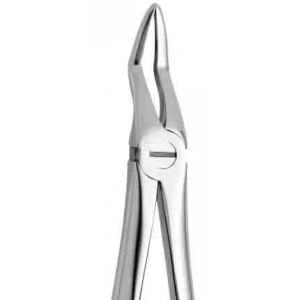 Coricama Tooth Forceps English Pattern Upper Roots