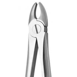 Coricama Tooth Forceps English Pattern Uppers
