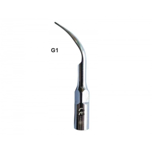 WOODPECKER Scaler Tip #G1 (EMS, Woodpecker Type)