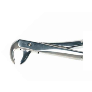 DURALAST FORCEP 73S LOWER MOLAR