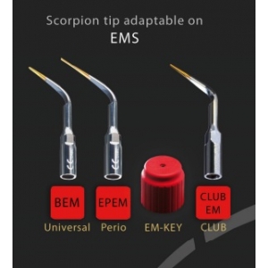 SCORPION Torque Key -EMS & WOODPECKER