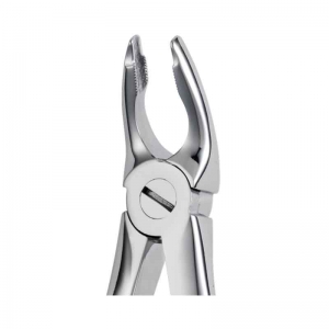 ONGARD Lite-Touch Forcep English Upper Incisor & Premolar #35