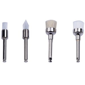 Prophy Brushes